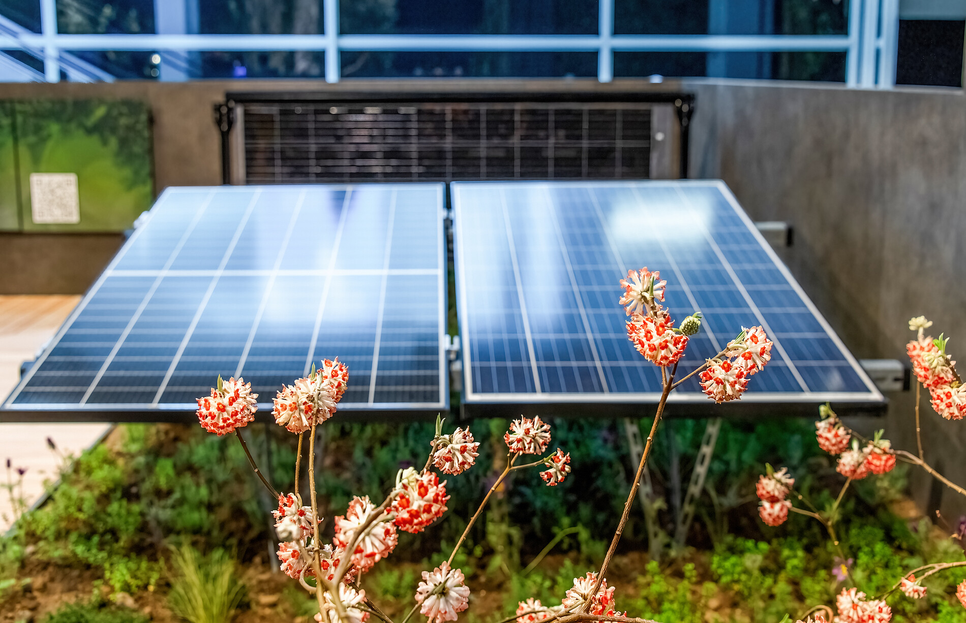 Jardin Suisse  Giardina Z