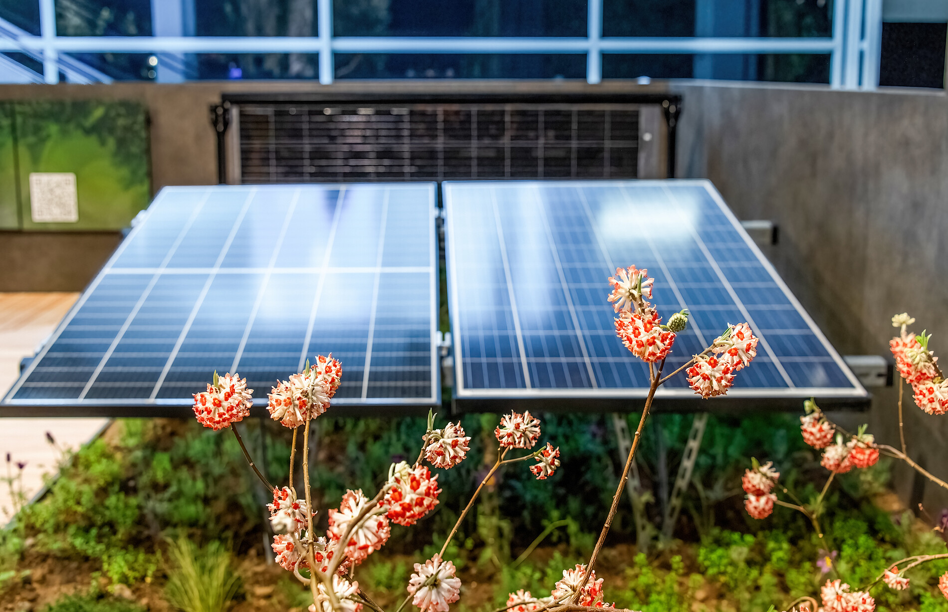 Jardin Suisse  Giardina Z